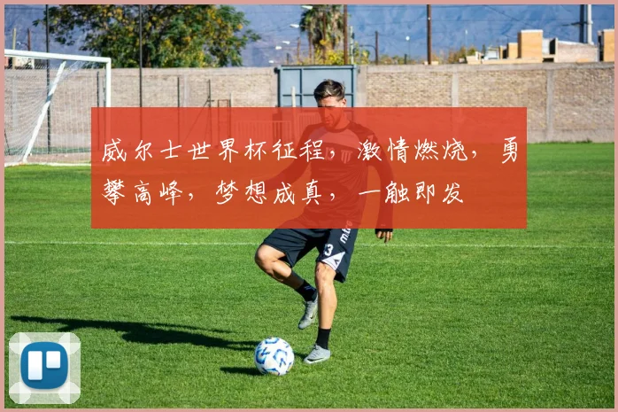 威尔士世界杯征程，激情燃烧，勇攀高峰，梦想成真，一触即发