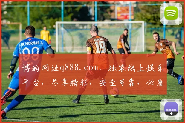 博狗网址q888.com，独家线上娱乐平台，尽享精彩，安全可靠，必看攻略，畅游无忧