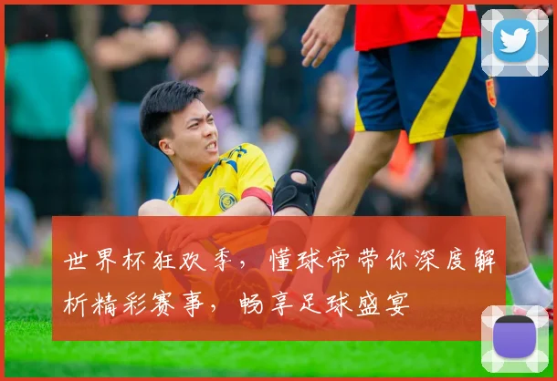 世界杯狂欢季，懂球帝带你深度解析精彩赛事，畅享足球盛宴