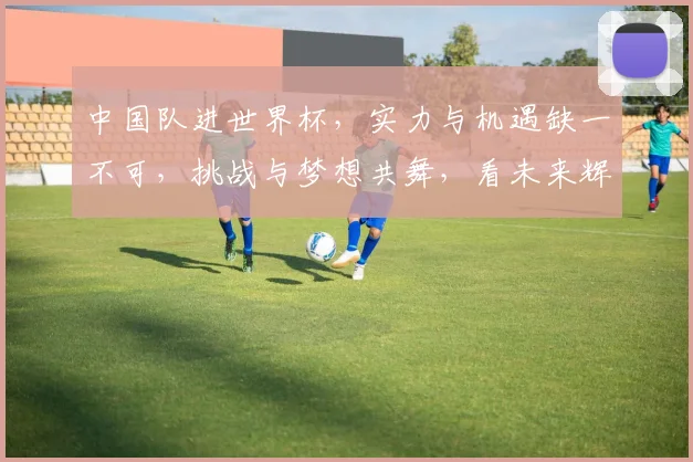 中国队进世界杯，实力与机遇缺一不可，挑战与梦想共舞，看未来辉煌时刻